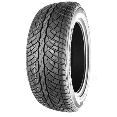 ANTARES MAJORIS M5 XL 255/30 R22 95W  TL