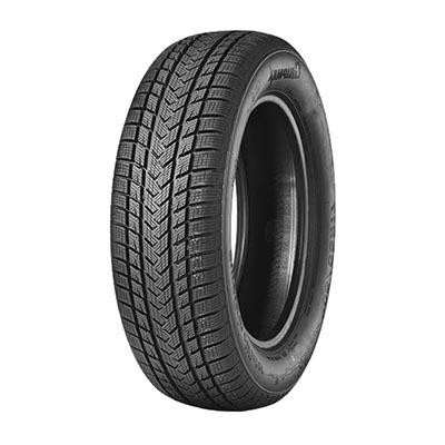 GRIPMAX SUREGRIP E WINTER XL 205/65 R17 100V  TL M+S 3PMSF