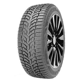 DOUBLE STAR WINTERKING DW08 XL 225/40 R18 92H  TL