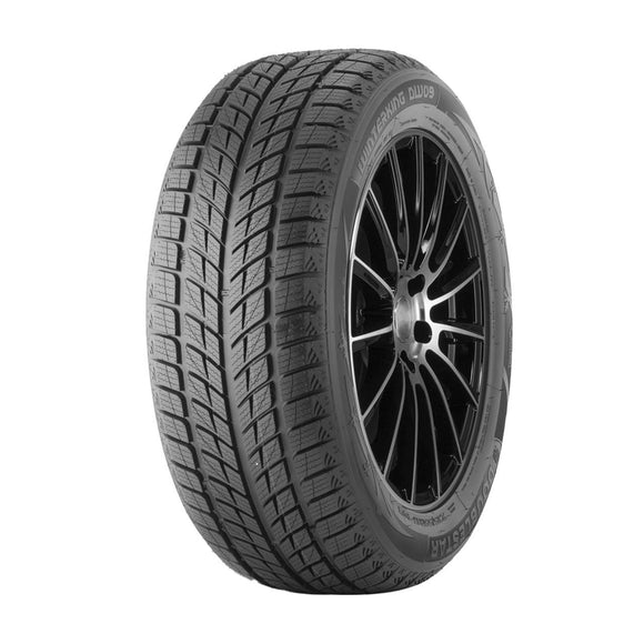DOUBLE STAR WINTERKING DW09 255/55 R20 107H  TL